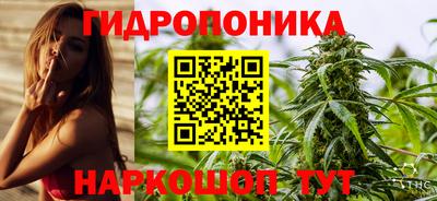 гидра Конаково